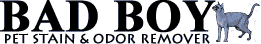 Bad Boy logo