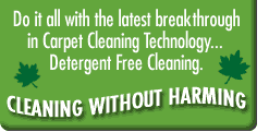 Cleaning Without Harming