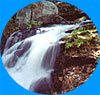 Do your part and help protect the environment