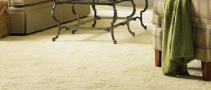Carpet & Upholstery Cleaning Products