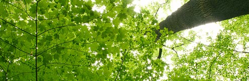 Environmental Benefits