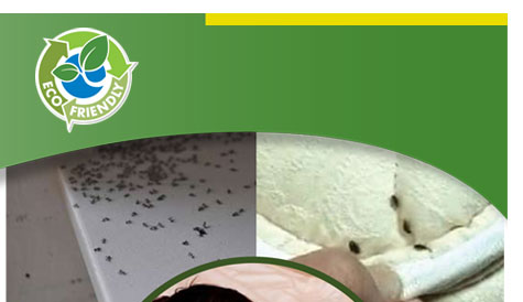 Environmentall Friendly Eco