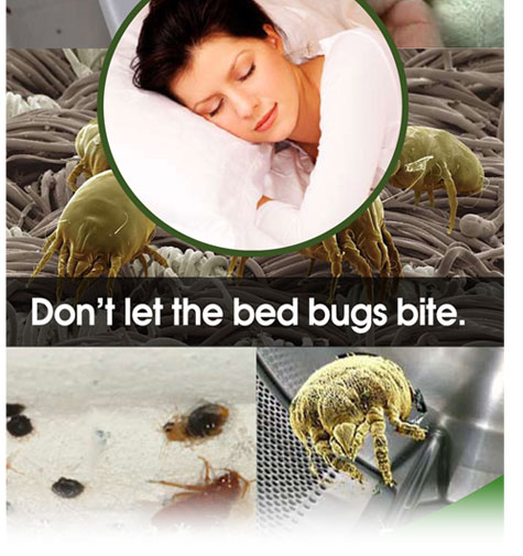 Don't let the bed bugs bite.