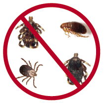 Effective natural removal of bugs
