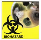 Mold and Biohazard Remediation