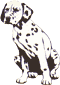 Pets