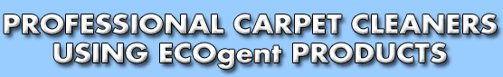 Professional Carpet Cleaners using ECOgent Products