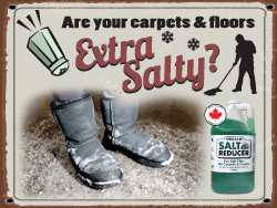 How to Remove Winter Salt from Carpets and Floors - Salt Reducer