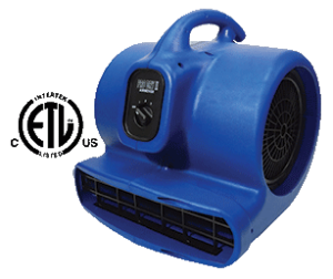 Esteam Pro Dry II Air Mover