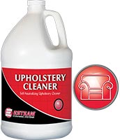 Esteam Upholstery Cleaner