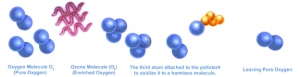 How Does Ozone Work?