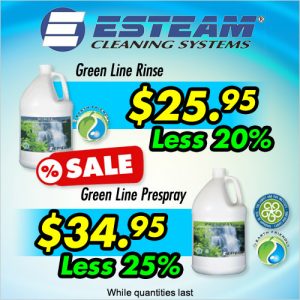 Esteam 20 25 Off Special Sale