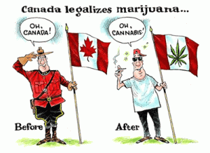 Canada Legalizes Marijuana