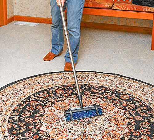 Spotty Rug Renovator 10 Inch Carpet Cleaning Brush 