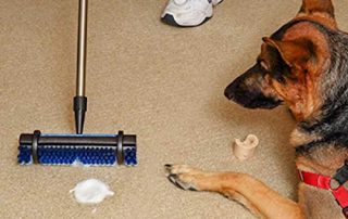 carpet stain removal fast easy