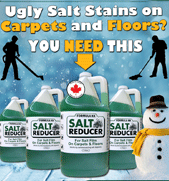 winter salt stain remover carpet floors