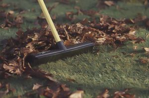 rubber rake leaves