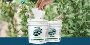 benefect disinfectant wipes