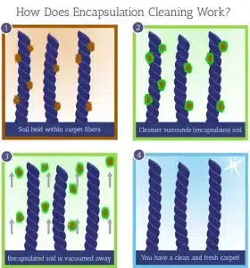 encapsulation carpet cleaning