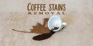 what takes coffee stains out of carpet