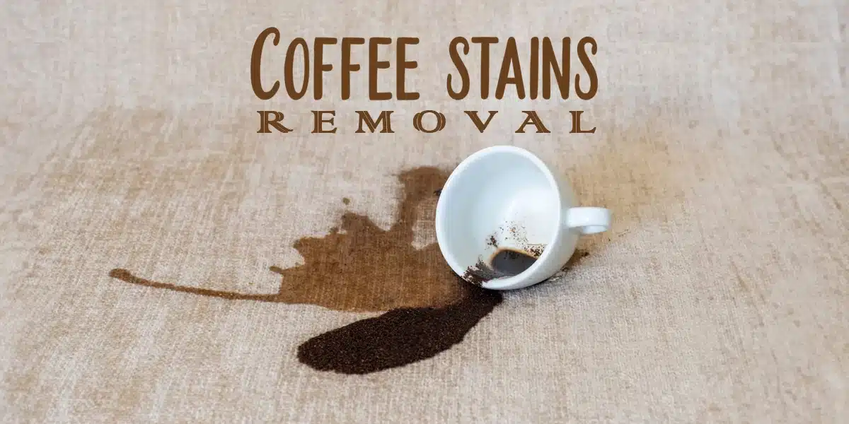 what takes coffee stains out of carpet