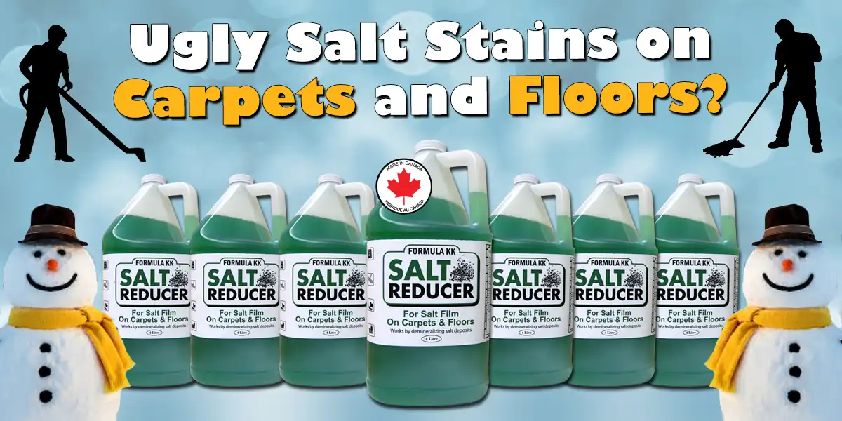 best floor cleaner for winter salt