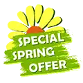 Special Spring Offer