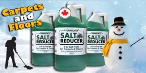 winter salt remover toronto gta